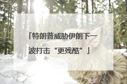 特朗普威胁伊朗下一波打击“更残酷”