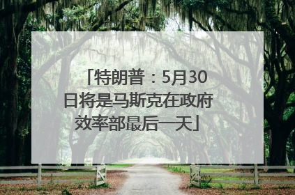 特朗普：5月30日将是马斯克在政府效率部最后一天