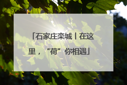 石家庄栾城丨在这里，“荷”你相遇