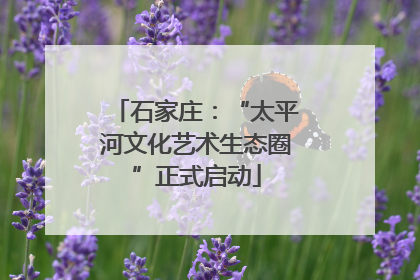 石家庄：“太平河文化艺术生态圈”正式启动