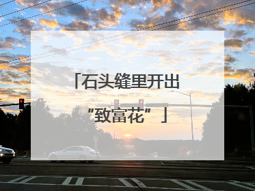 石头缝里开出“致富花”
