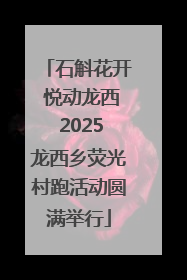 石斛花开 悦动龙西 2025龙西乡荧光村跑活动圆满举行