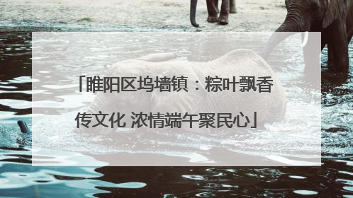 睢阳区坞墙镇：粽叶飘香传文化 浓情端午聚民心
