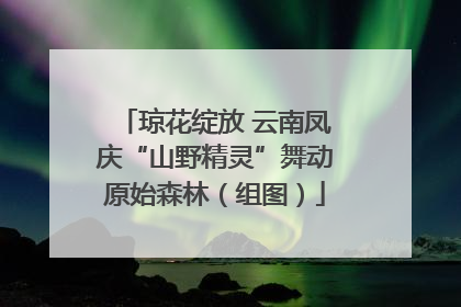 琼花绽放 云南凤庆“山野精灵”舞动原始森林（组图）