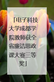 电子科技大学成都学院教师获全省廉洁思政课大赛三等奖
