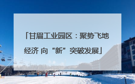 甘眉工业园区：聚势飞地经济 向“新”突破发展