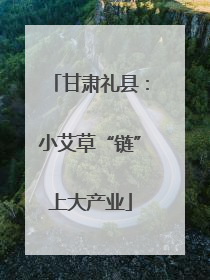 甘肃礼县：小艾草“链”上大产业