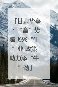 甘肃华亭：“畜”势腾飞兴“牛”业 政策助力添“牛”劲