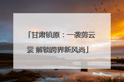 甘肃镇原：一袭剪云裳 解锁跨界新风尚