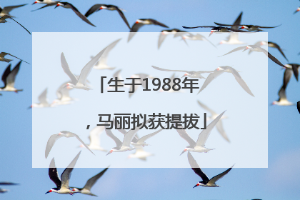 生于1988年，马丽拟获提拔
