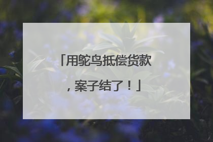 用鸵鸟抵偿货款，案子结了！