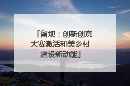 留坝：创新创意大赛激活和美乡村建设新动能