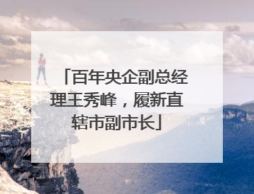 百年央企副总经理王秀峰，履新直辖市副市长