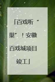 百戏听“巢”！安徽百戏城项目竣工