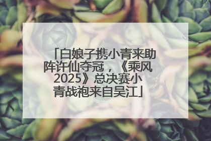 白娘子携小青来助阵许仙夺冠，《乘风2025》总决赛小青战袍来自吴江