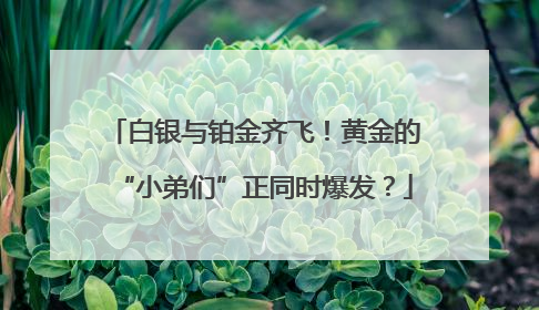 白银与铂金齐飞！黄金的“小弟们”正同时爆发？