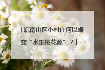 皖南山区小村庄何以蝶变“水墨桃花源”？