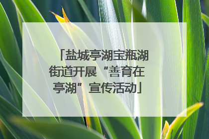 盐城亭湖宝瓶湖街道开展“善育在亭湖”宣传活动