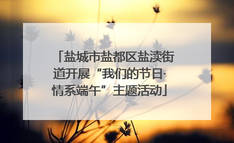 盐城市盐都区盐渎街道开展“我们的节日·情系端午”主题活动