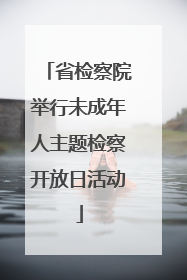 省检察院举行未成年人主题检察开放日活动