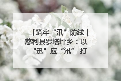 筑牢“汛”防线｜慈利县罗塔坪乡：以“迅”应“汛” 打赢暴雨防御战