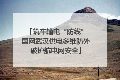 筑牢输电“防线” 国网武汉供电多维防外破护航电网安全