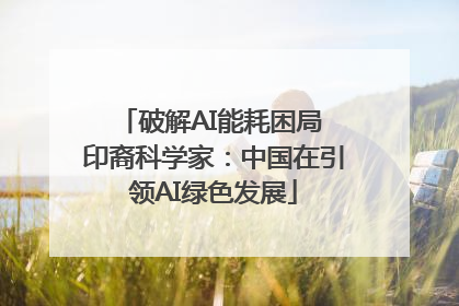 破解AI能耗困局 印裔科学家：中国在引领AI绿色发展