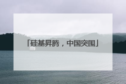 硅基昇腾，中国突围