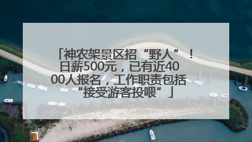 神农架景区招“野人”！日薪500元，已有近4000人报名，工作职责包括“接受游客投喂”
