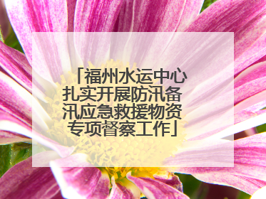 福州水运中心扎实开展防汛备汛应急救援物资专项督察工作