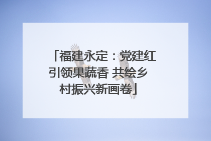 福建永定：党建红引领果蔬香 共绘乡村振兴新画卷