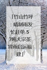竹山竹坪：晴制雨发忙赶单 57吨大宗茶冒雨启运福建