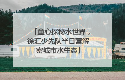 童心探秘水世界，徐汇少先队半日营解密城市水生态