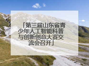 第三届山东省青少年人工智能科普与创新创意大赛交流会召开