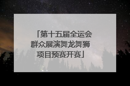 第十五届全运会群众展演舞龙舞狮项目预赛开赛