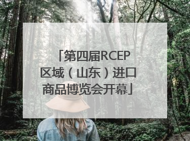 第四届RCEP区域（山东）进口商品博览会开幕