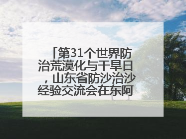 第31个世界防治荒漠化与干旱日，山东省防沙治沙经验交流会在东阿县举办