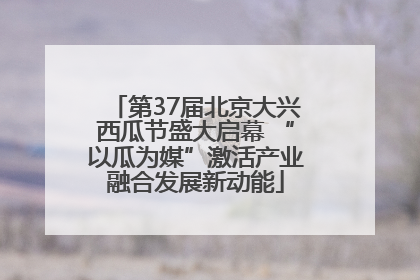 第37届北京大兴西瓜节盛大启幕 “以瓜为媒”激活产业融合发展新动能