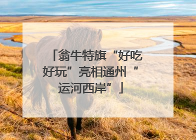 翁牛特旗“好吃好玩”亮相通州“运河西岸”