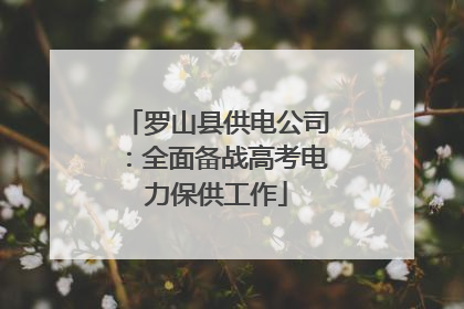 罗山县供电公司：全面备战高考电力保供工作