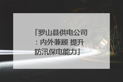 罗山县供电公司：内外兼顾 提升防汛保电能力