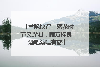 羊晚快评｜落花时节又逢君，睹万梓良酒吧演唱有感