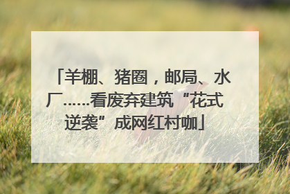 羊棚、猪圈，邮局、水厂……看废弃建筑“花式逆袭”成网红村咖