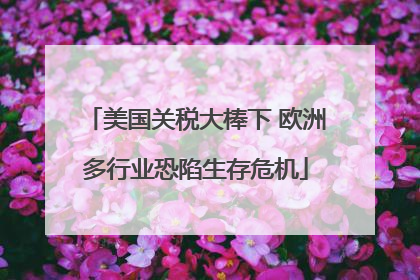 美国关税大棒下 欧洲多行业恐陷生存危机