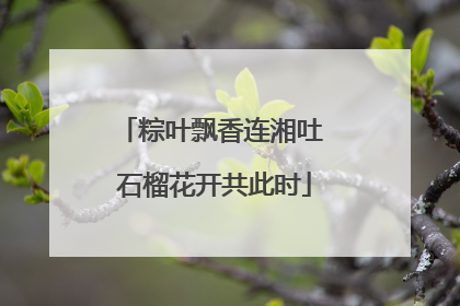 粽叶飘香连湘吐 石榴花开共此时