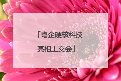 粤企硬核科技亮相上交会