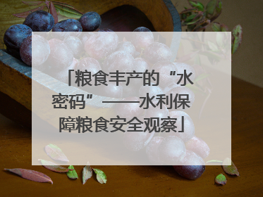 粮食丰产的“水密码”——水利保障粮食安全观察