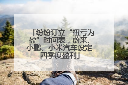 纷纷订立“扭亏为盈”时间表，蔚来、小鹏、小米汽车设定四季度盈利