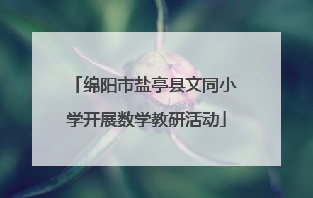 绵阳市盐亭县文同小学开展数学教研活动