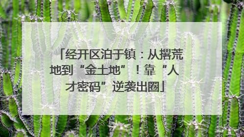 经开区泊于镇：从撂荒地到“金土地”！靠“人才密码”逆袭出圈